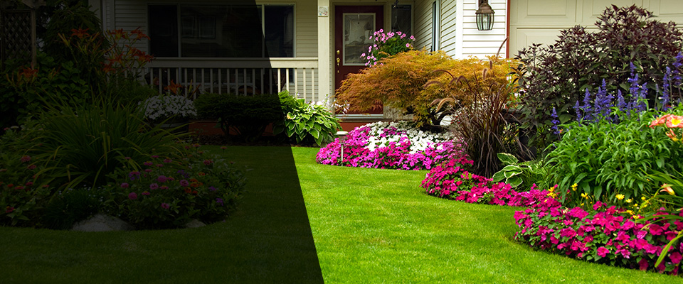 Pomona Landscapers