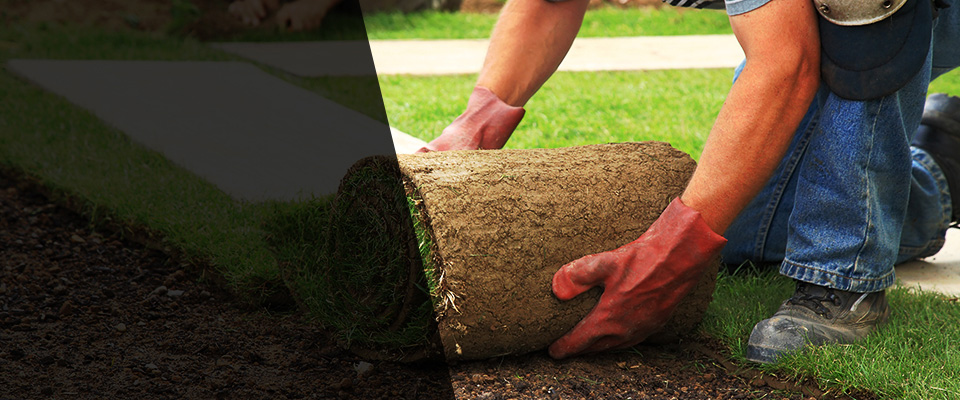 Pomona Landscapers